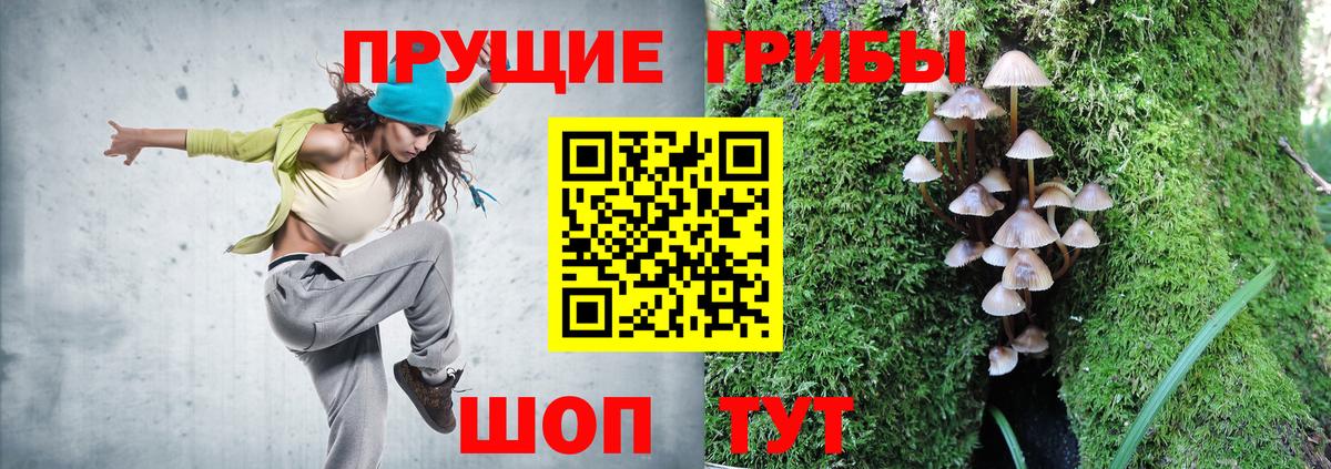 Псилоцибиновые грибы прущие грибы Мариинск